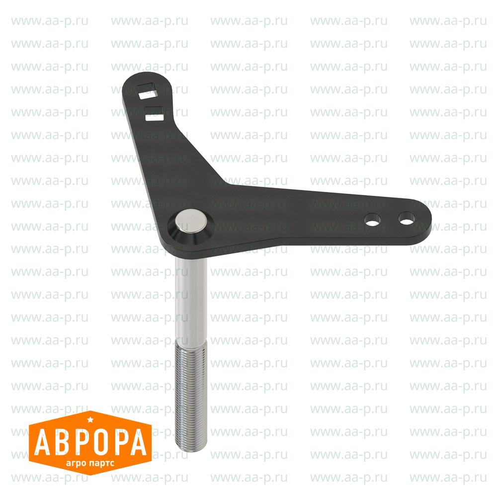 Arm